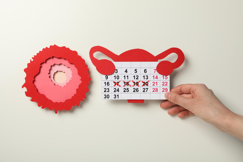 Period Care: A Comprehensive Guide to Managing Menstrual Health